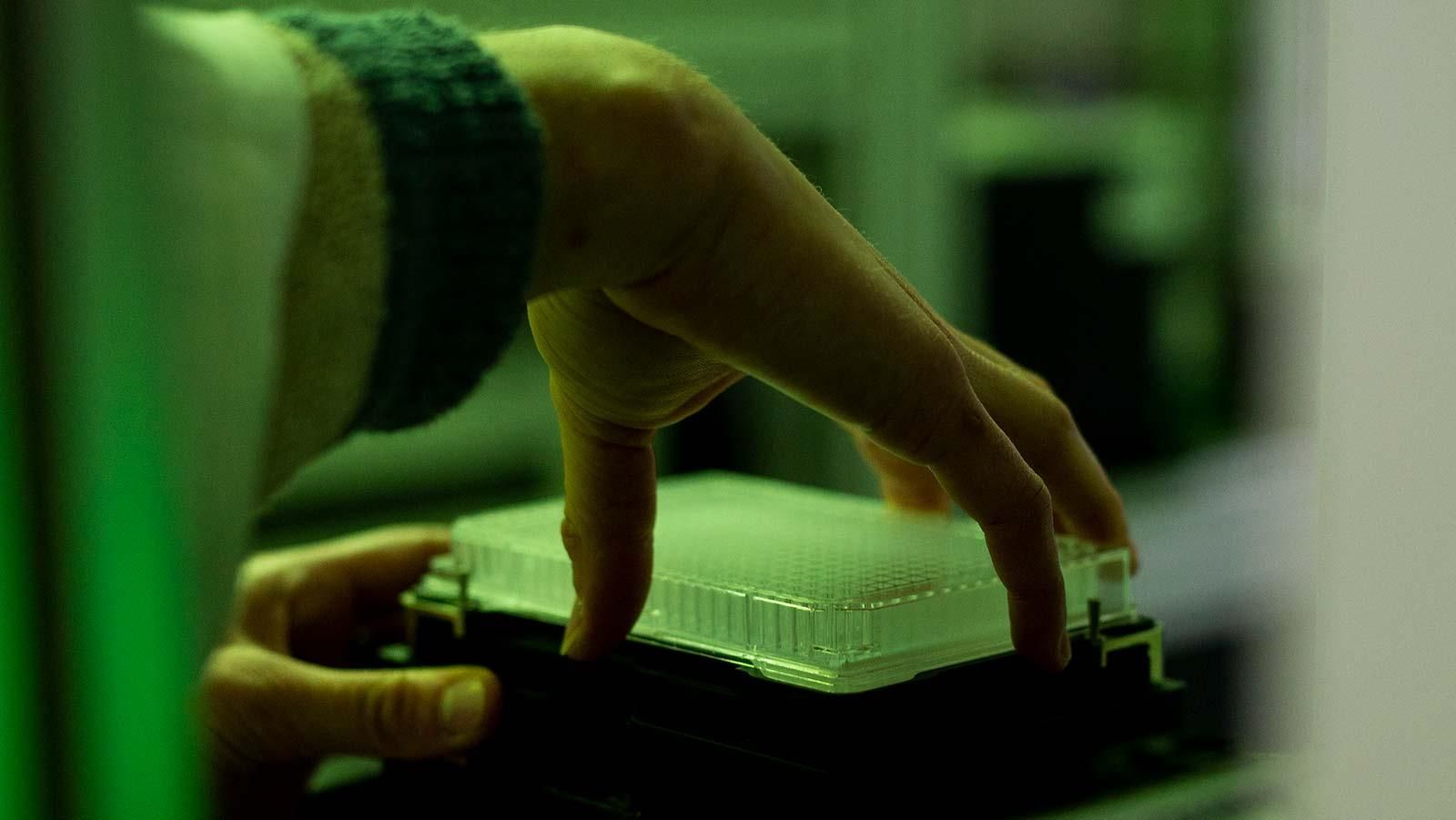 Probenbestückung in einem Labor der Forschung & Entwicklung