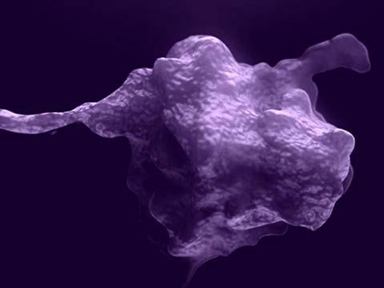 Wissenschaftliche 3D-Aufnahme